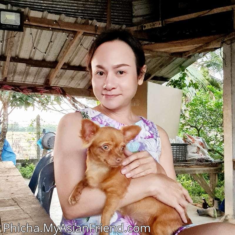 Phicha's personal blog photo 1 added Saturday the 29th of November 2025